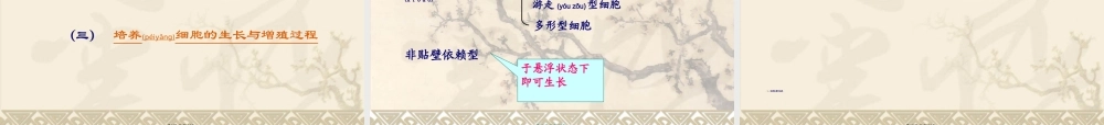 2022年医学专题—动物细胞与组织培养技术.ppt