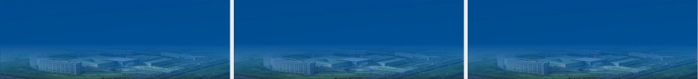 2022年医学专题—第12章第9节-几种不同病原体所致肺炎.ppt