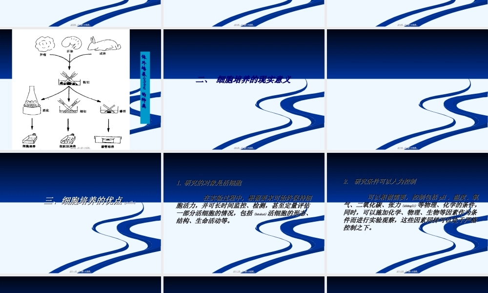 2022年医学专题—细胞工程理论初级基础.ppt