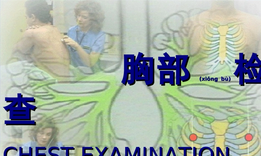 2022年医学专题—胸部检查—肺3(附件).ppt