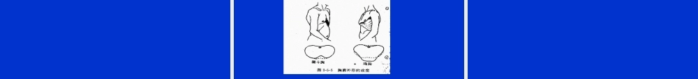 2022年医学专题—胸部检查—肺3(附件).ppt