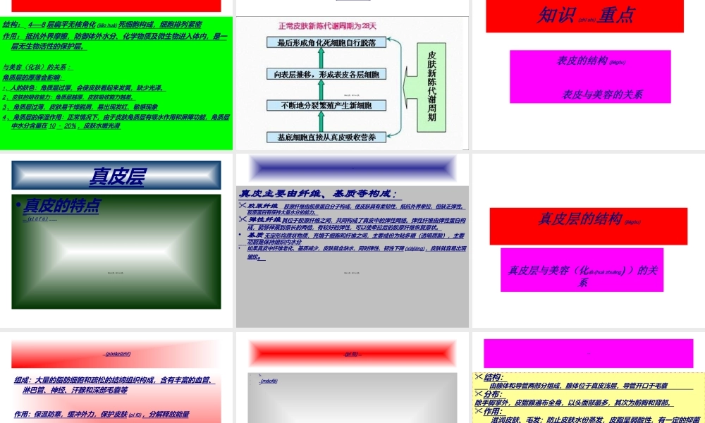 2022年医学专题—皮肤知识认识.ppt