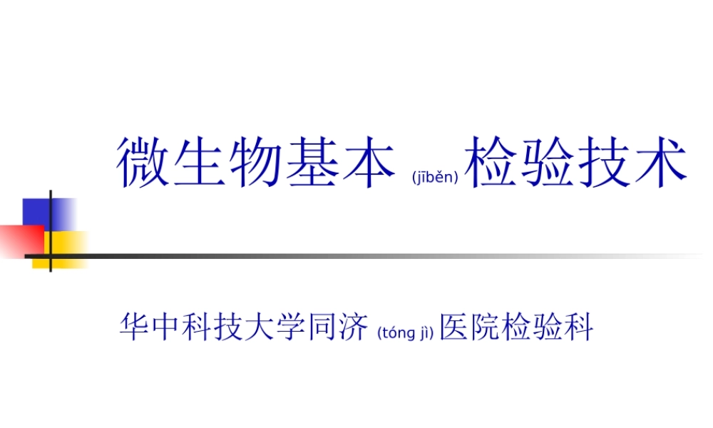 2022年医学专题—细菌的形态学检查.ppt