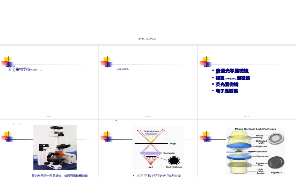 2022年医学专题—细菌的形态学检查.ppt