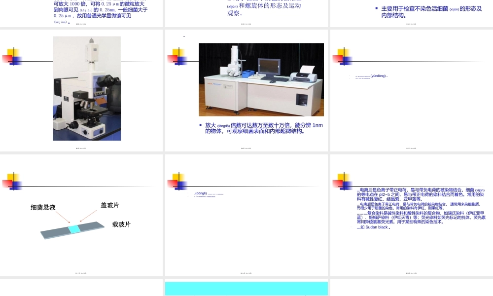 2022年医学专题—细菌的形态学检查.ppt