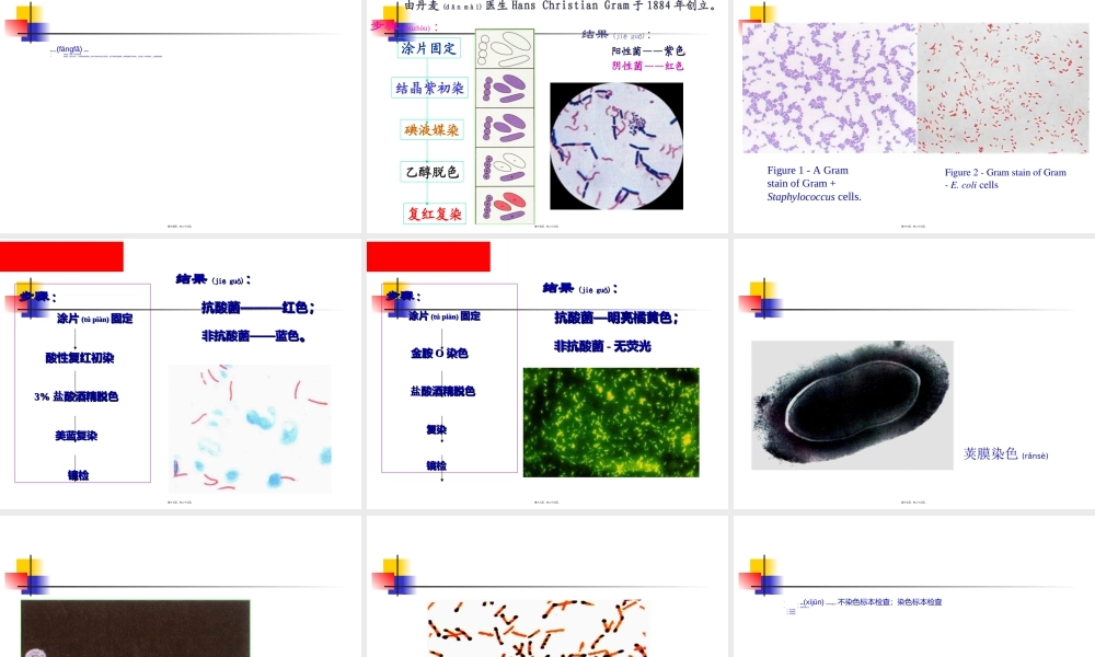2022年医学专题—细菌的形态学检查.ppt