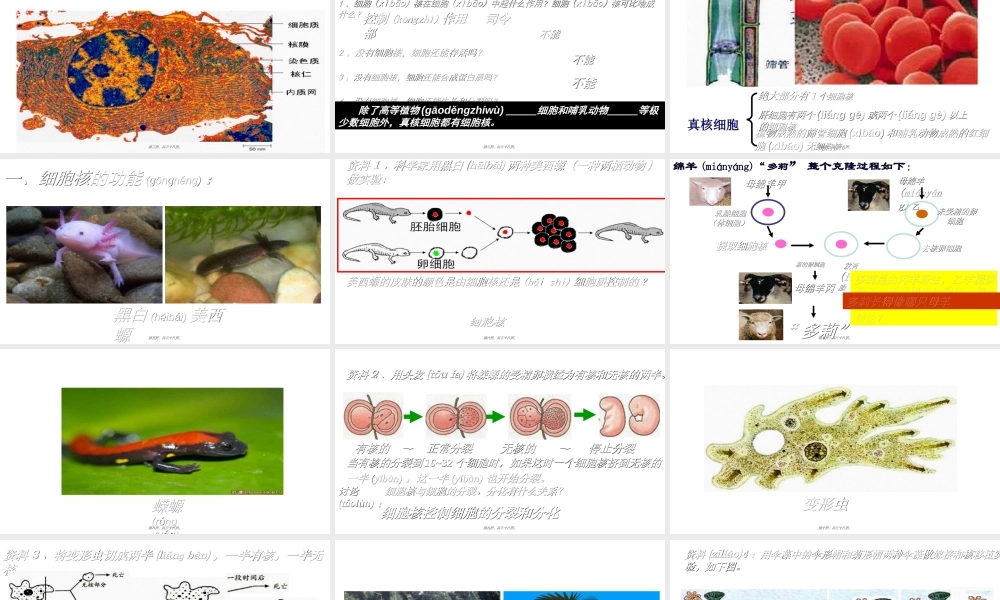 2022年医学专题—细胞核系统的控制中心.ppt