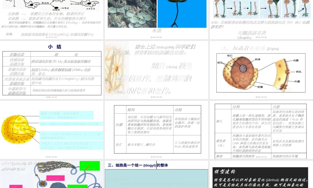 2022年医学专题—细胞核系统的控制中心.ppt