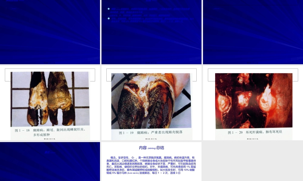 2022年医学专题—坏死杆菌病.ppt