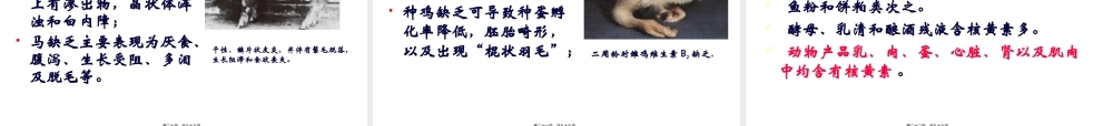 9动物营养学(维生素)汇总.pptx