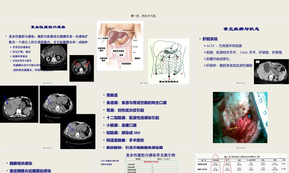 4.复杂性腹腔感染的处理-毛恩强.pptx