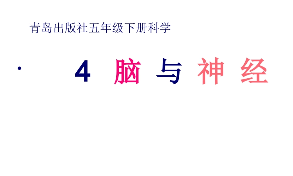 4.脑与神经.pptx
