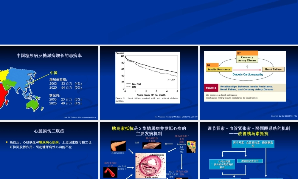 ACEI-糖尿病患的心脏保护.ppt