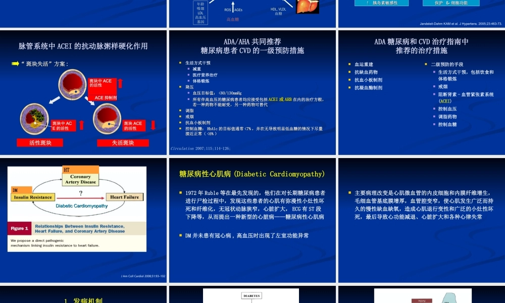 ACEI-糖尿病患的心脏保护.ppt