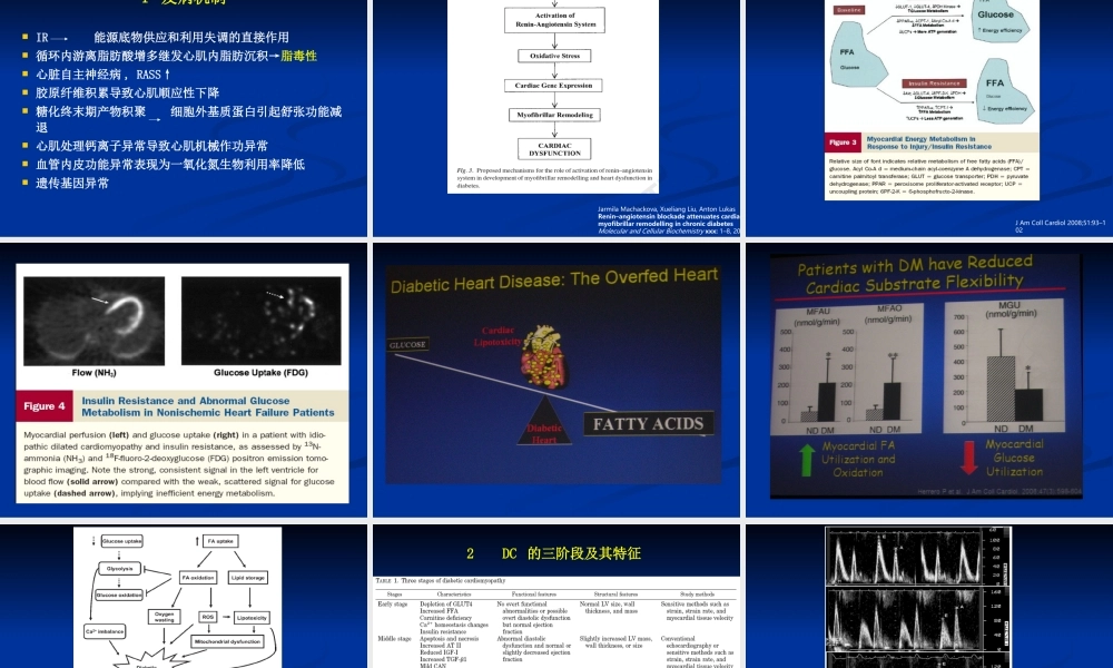 ACEI-糖尿病患的心脏保护.ppt