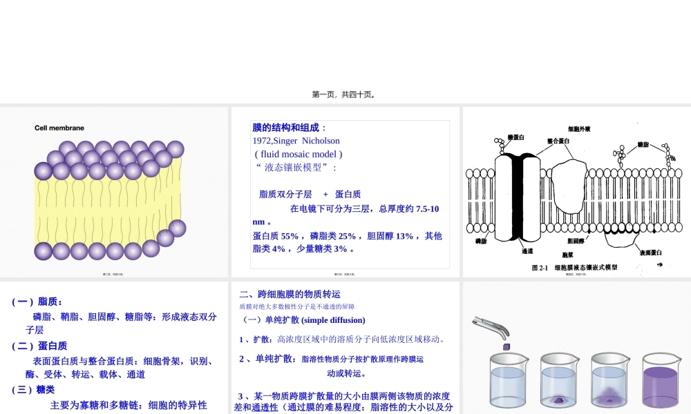 D细胞的基本功能.pptx