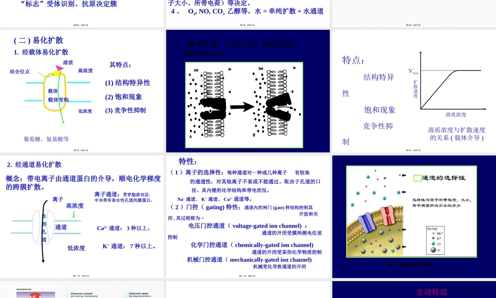 D细胞的基本功能.pptx