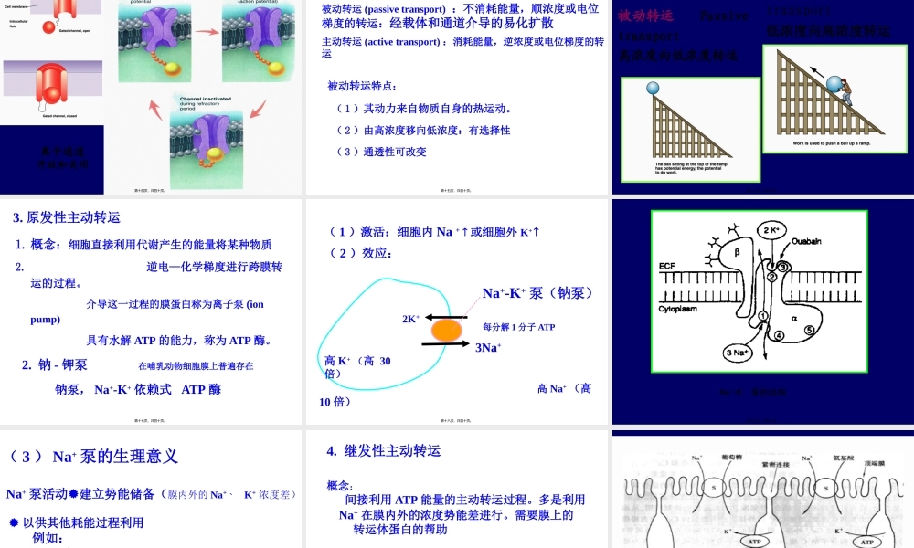 D细胞的基本功能.pptx