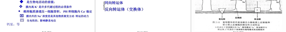 D细胞的基本功能.pptx