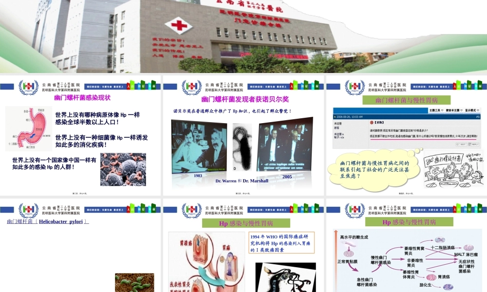 HP的诊治策略.pptx
