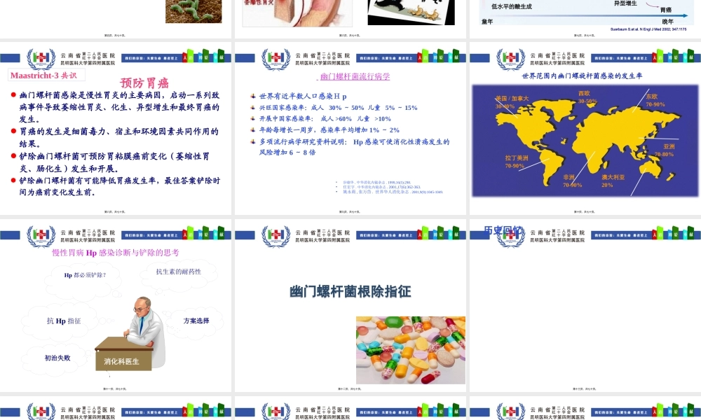HP的诊治策略.pptx