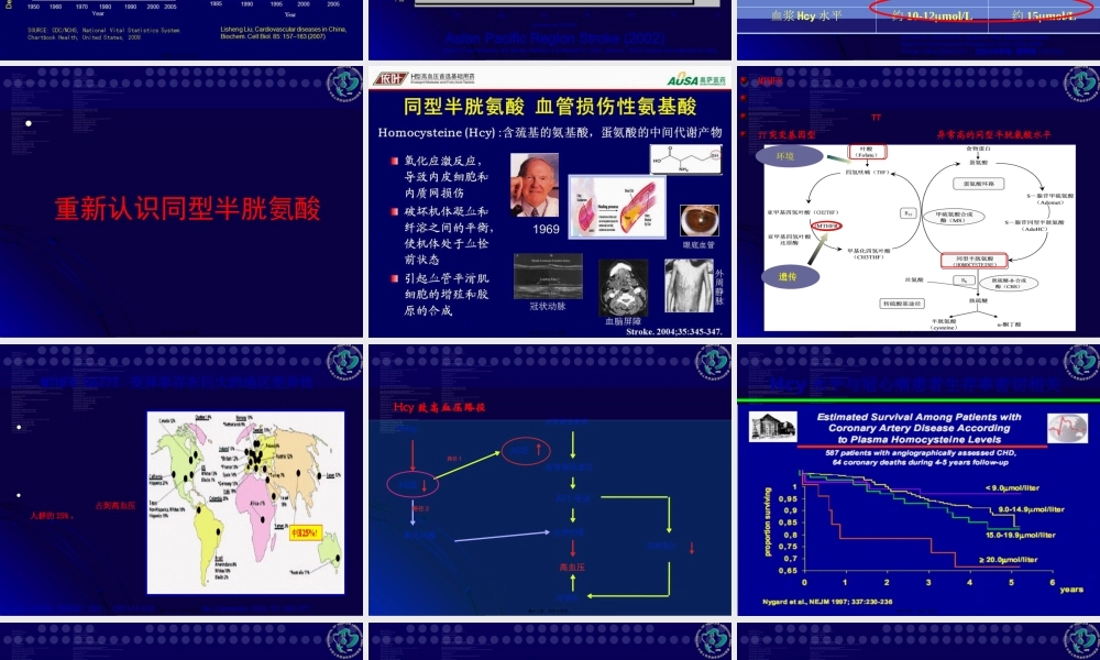 H型高血压研究新进展.pptx