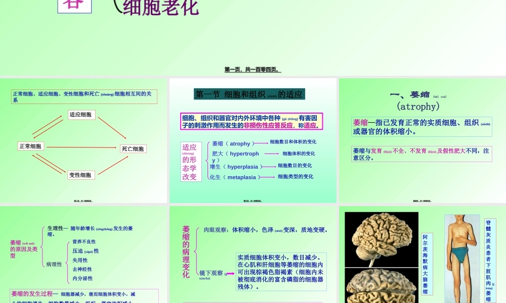 2022年医学专题—第一章--组织细胞的损伤(第七版).ppt