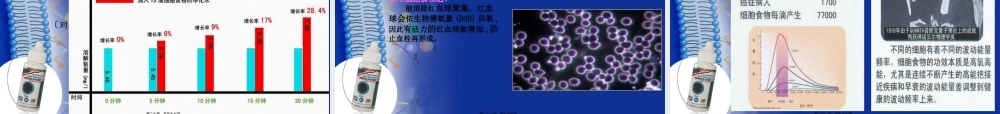 【顺势细胞食物六高版本】讲稿修订版.pptx