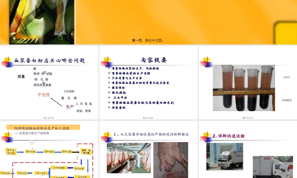 刘小敏-血浆蛋白粉、肠膜蛋白、乳清粉.pptx