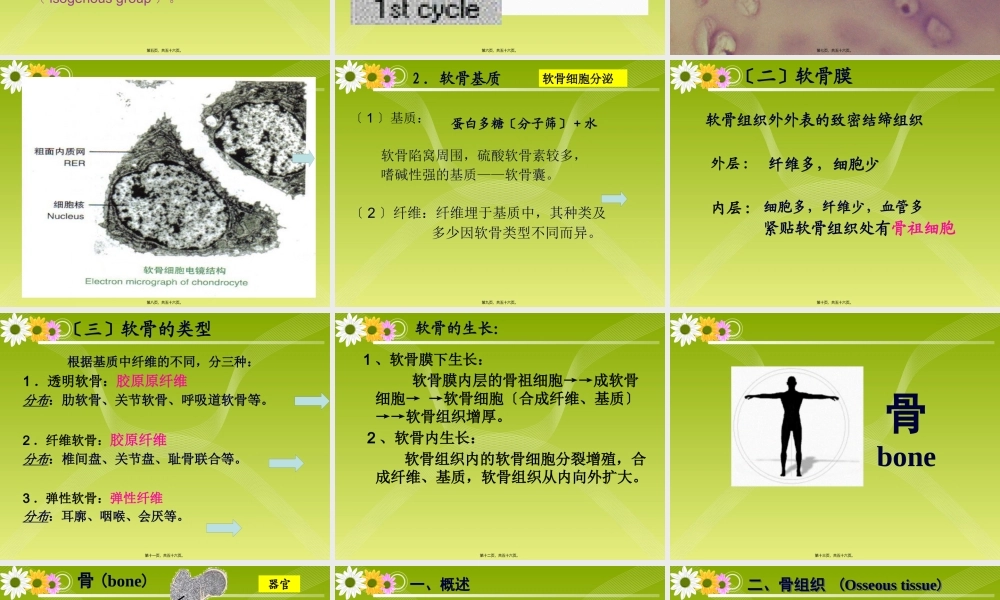 《组织胚胎学》-软骨和骨.pptx