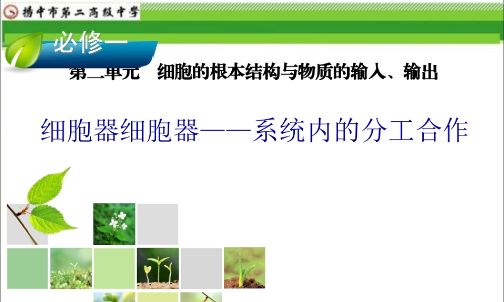 一轮复习2018年公开课细胞器系统的分工合作.pptx