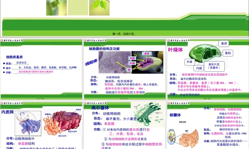 一轮复习2018年公开课细胞器系统的分工合作.pptx