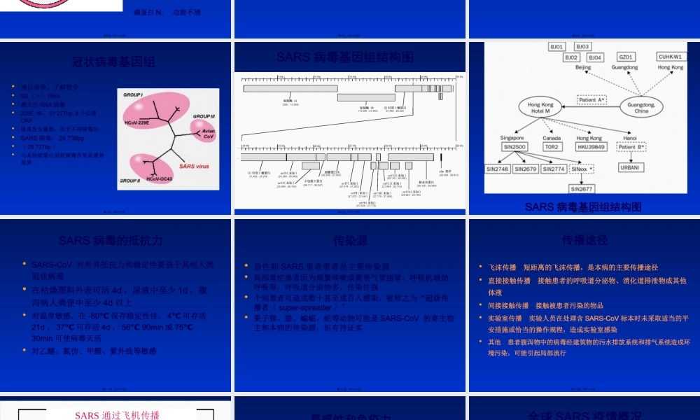 严重急性呼吸综合征.pptx