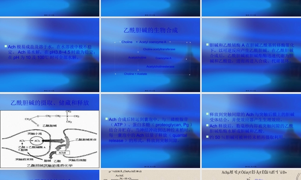 乙酰胆碱-2.pptx