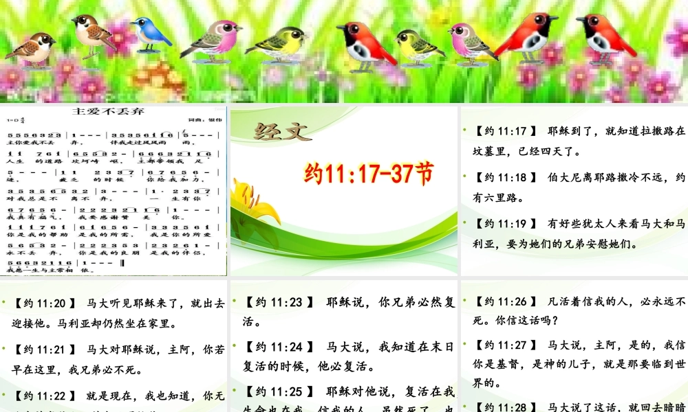 主是复活主是生命(2).ppt