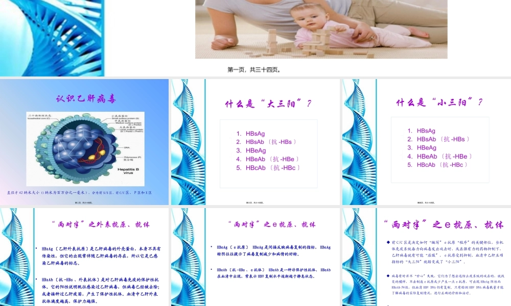 乙型肝炎母婴阻断基础知识.pptx