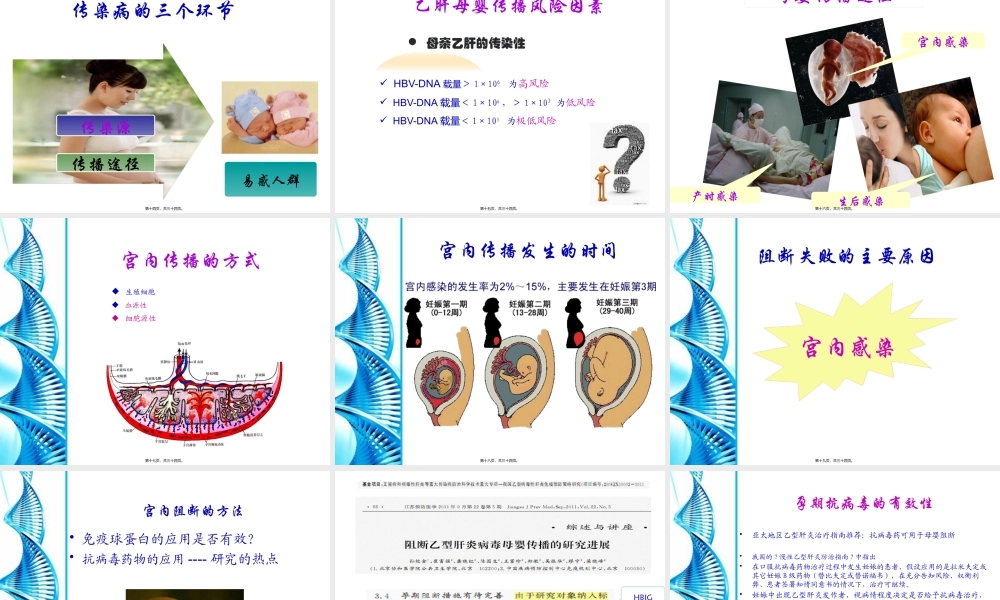 乙型肝炎母婴阻断基础知识.pptx
