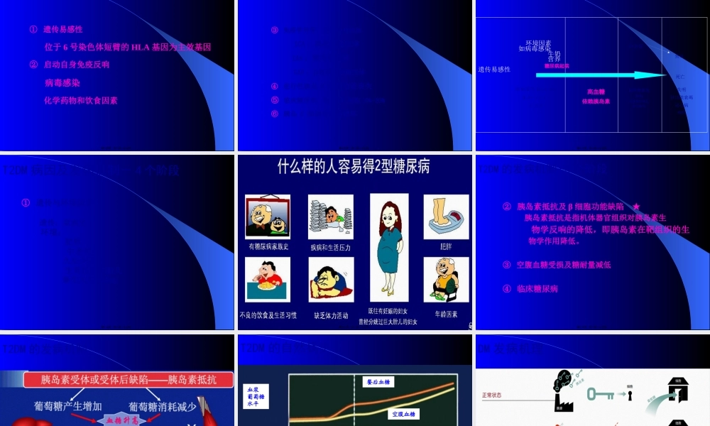 《糖尿病学》ppt件.pptx