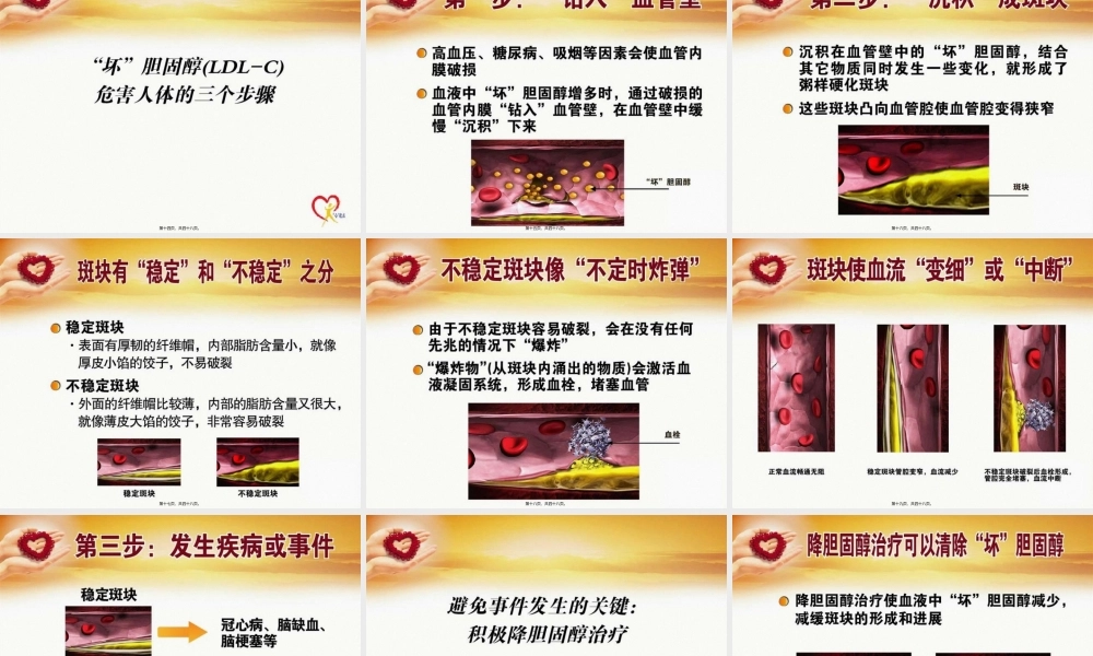 关注高血脂.pptx