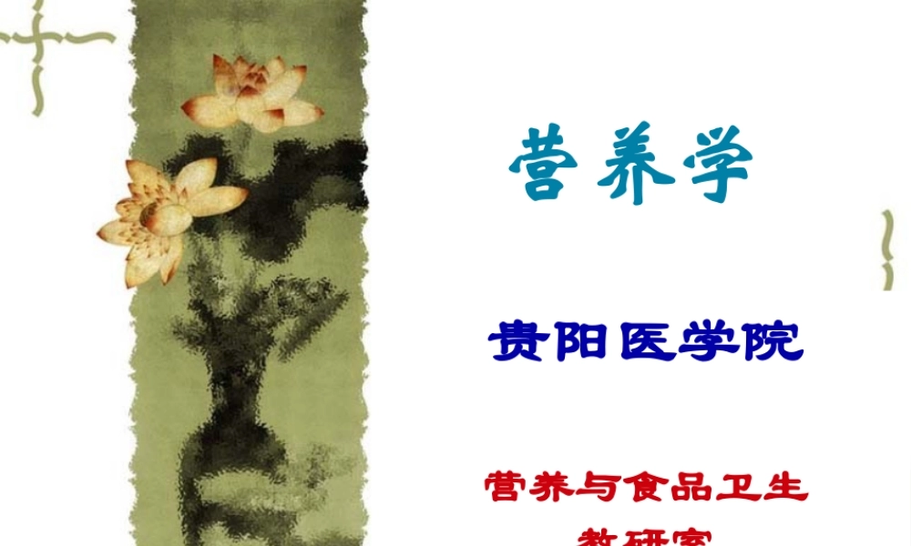 博易考提供公共营养学基础维生素.pptx