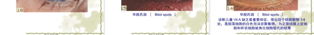 博易考提供公共营养学基础维生素.pptx