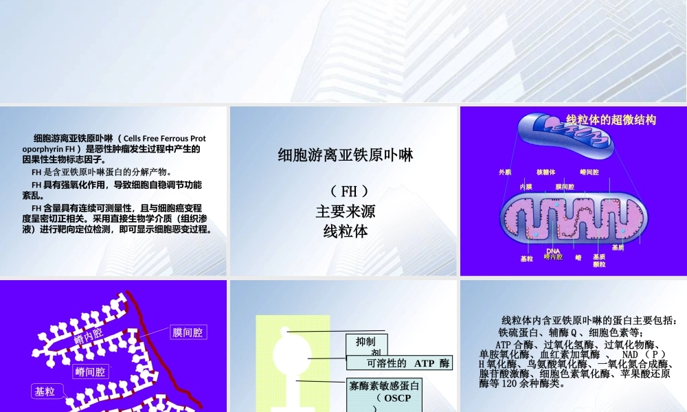 细胞游离亚铁原卟啉检测技术资料.ppt