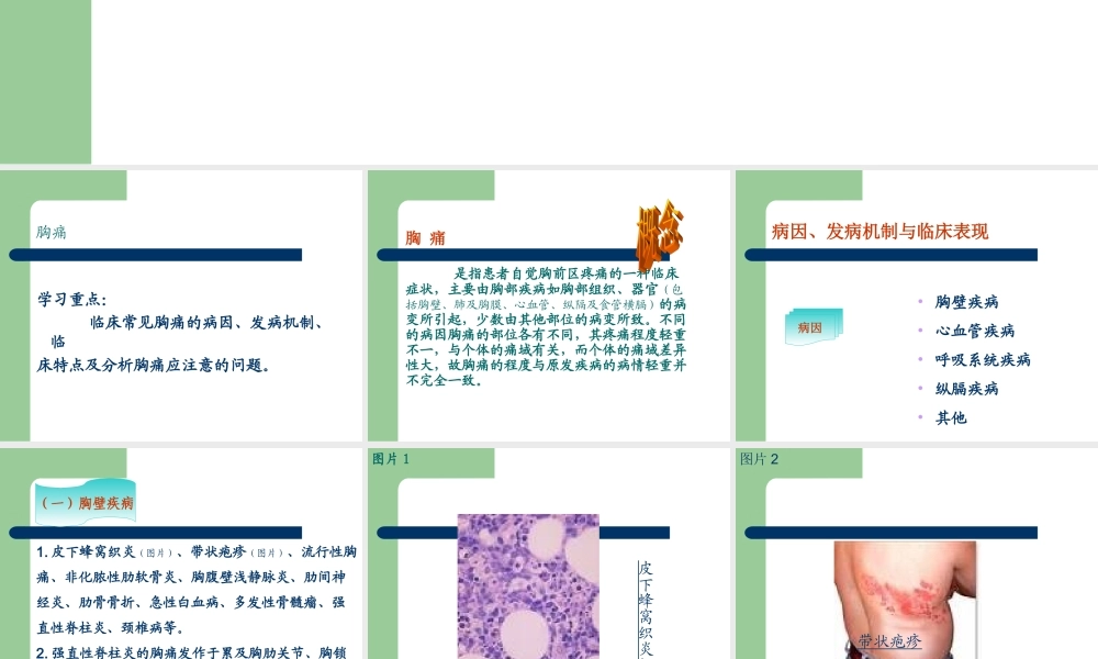 胸痛涂超梅.ppt