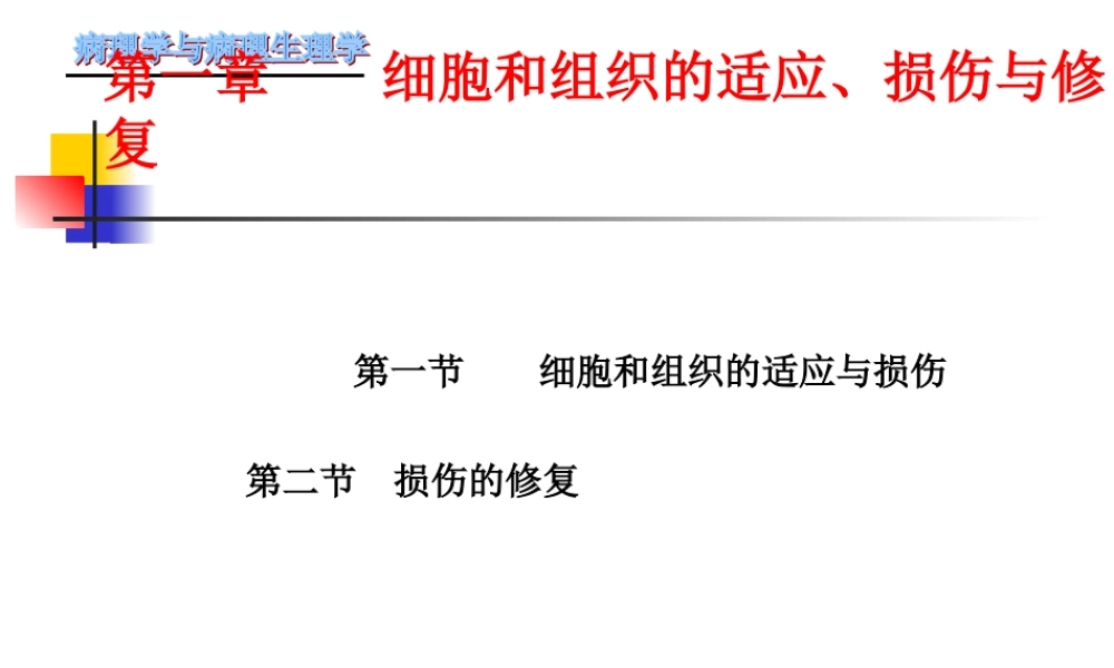最新第一章-细胞和组织的适应、损伤与修复.ppt