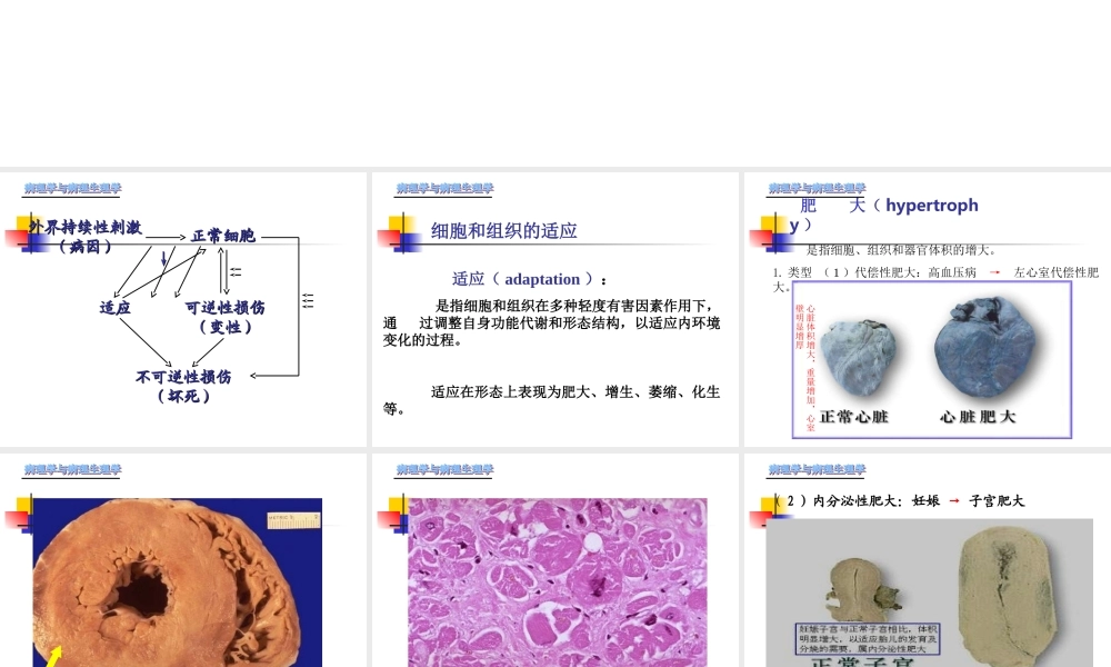最新第一章-细胞和组织的适应、损伤与修复.ppt