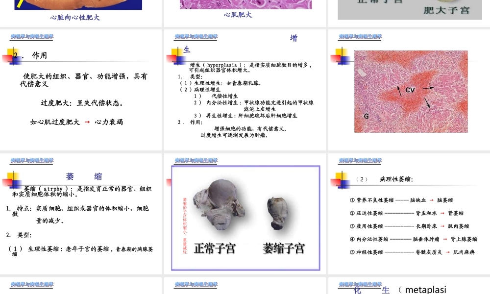 最新第一章-细胞和组织的适应、损伤与修复.ppt