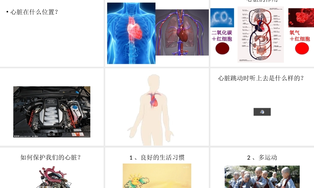 心脏科普.pptx