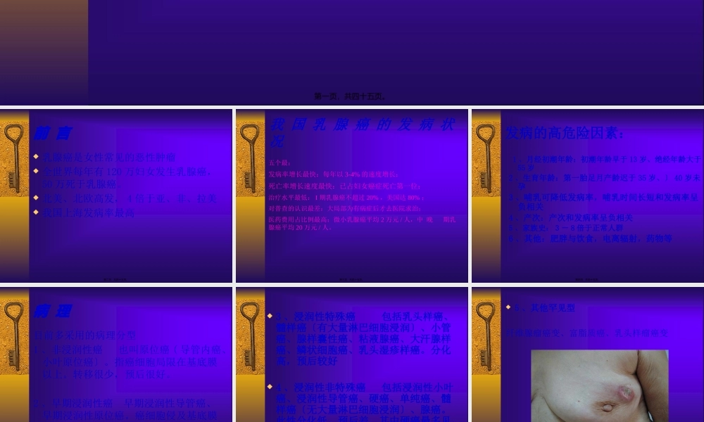 乳腺癌-2概述.pptx