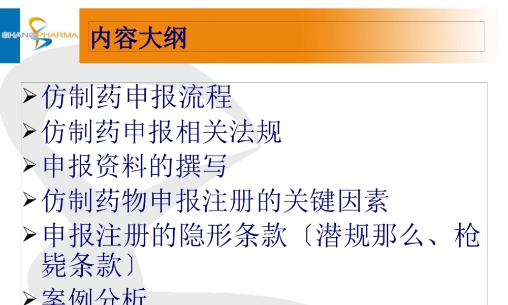 仿制药申(精).pptx