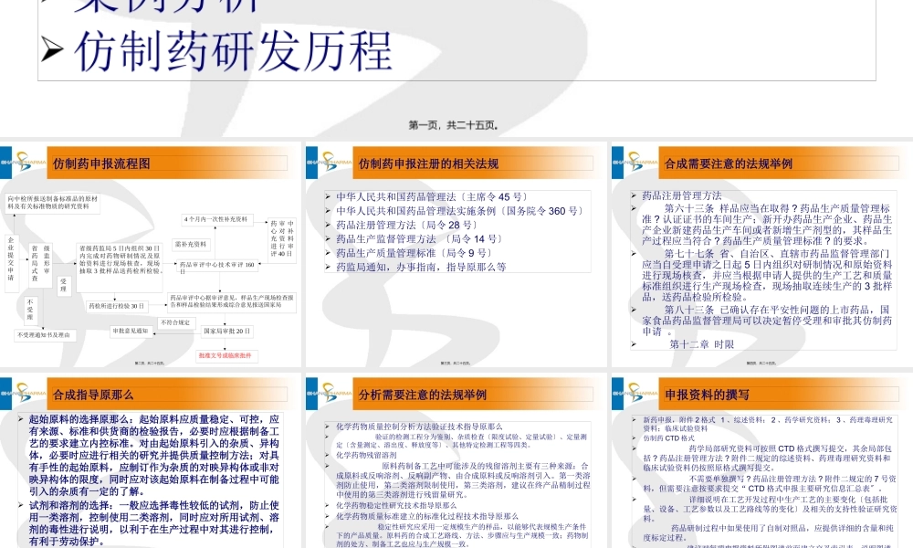 仿制药申(精).pptx